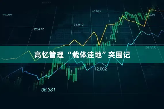 高忆管理 “载体洼地”突围记