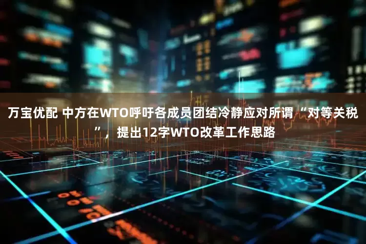 万宝优配 中方在WTO呼吁各成员团结冷静应对所谓 “对等关税 ”，提出12字WTO改革工作思路