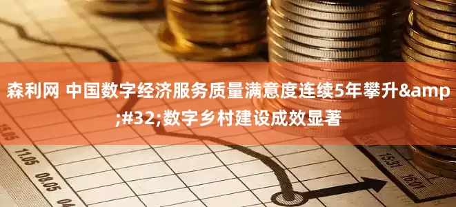 森利网 中国数字经济服务质量满意度连续5年攀升 数字乡村建设成效显著