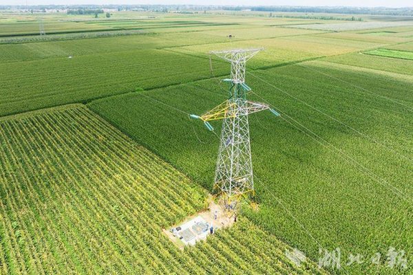 天猫配资 钟祥：老白带“小白” 高空“绣花活”