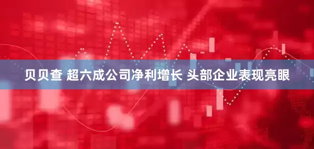 贝贝查 超六成公司净利增长 头部企业表现亮眼