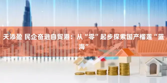 天添盈 民企奋进自贸港：从“零”起步探索国产榴莲“蓝海”